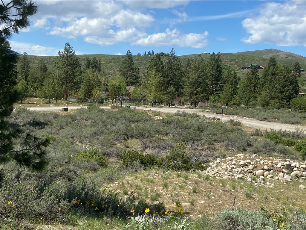 14 River Rock Road Winthrop, WA 98862 - Photo 24 of 27 Gallery Image 24