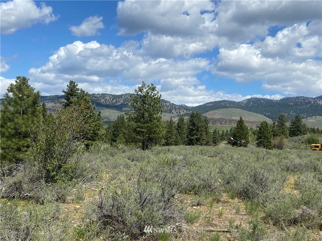 14 River Rock Road Winthrop, WA 98862 - Photo 27 of 27 Gallery Image 27