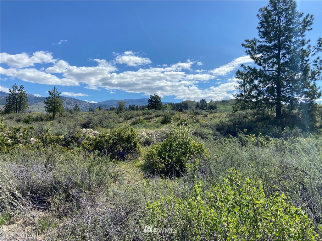 14 River Rock Road Winthrop, WA 98862 - Photo 5 of 27 Gallery Image 5