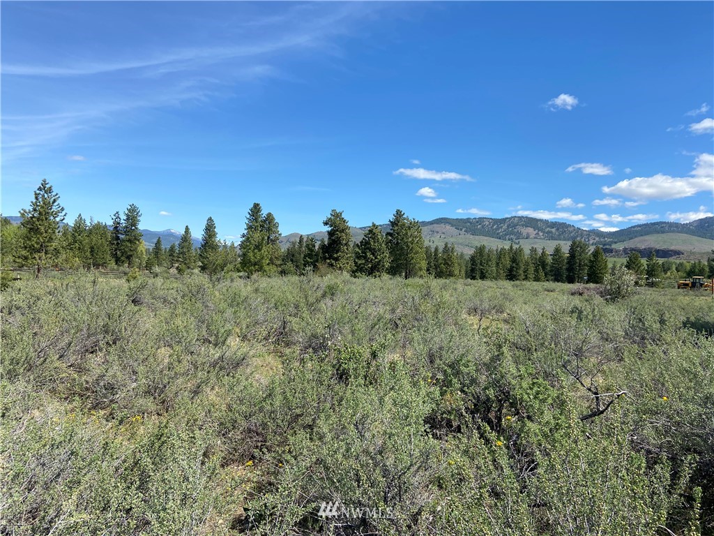 14 River Rock Road Winthrop, WA 98862 - Photo 10 of 27 Gallery Image 10