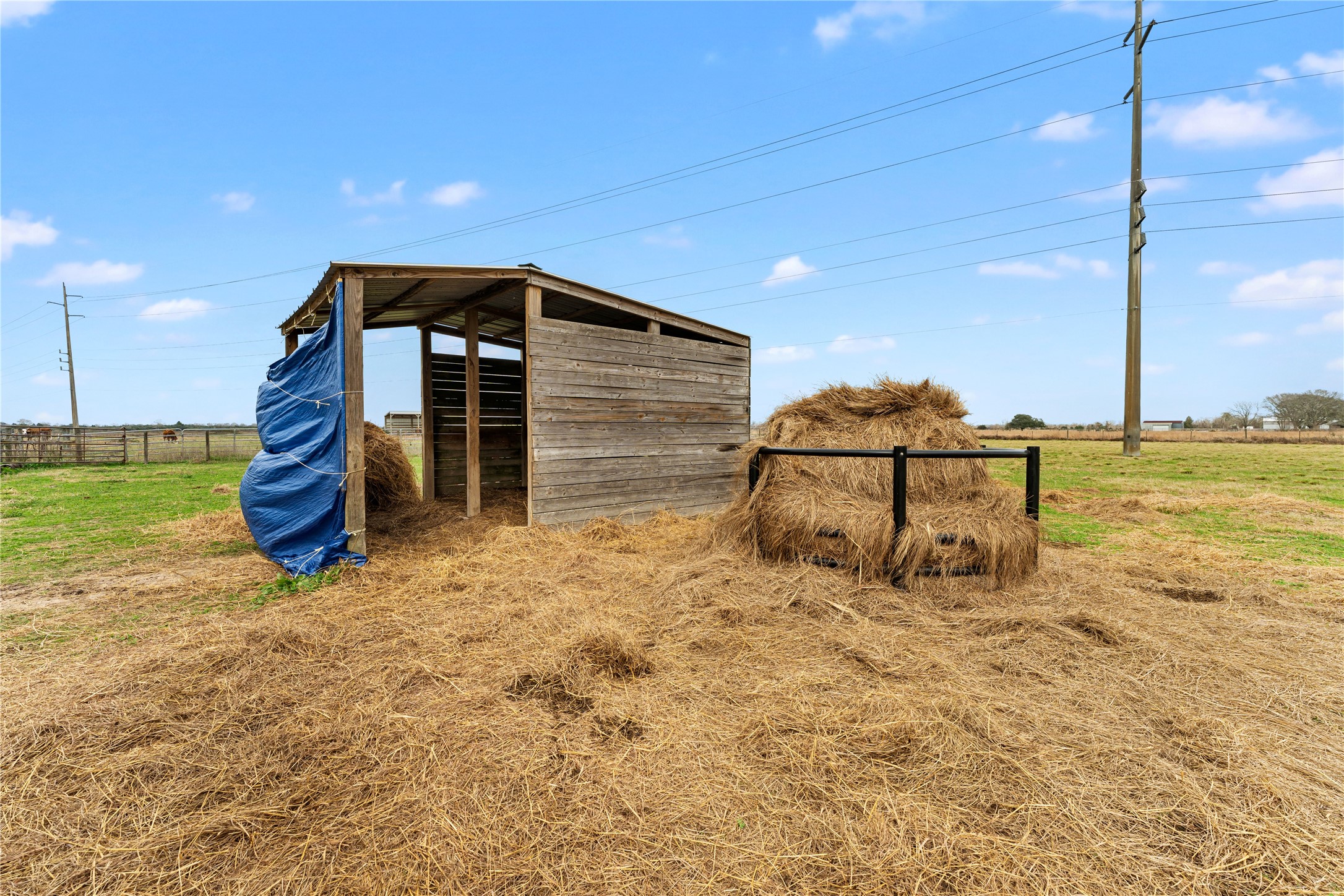 311 County Road 18 Damon, TX 77430 - Photo 13 of 39 a house view with a outdoor space