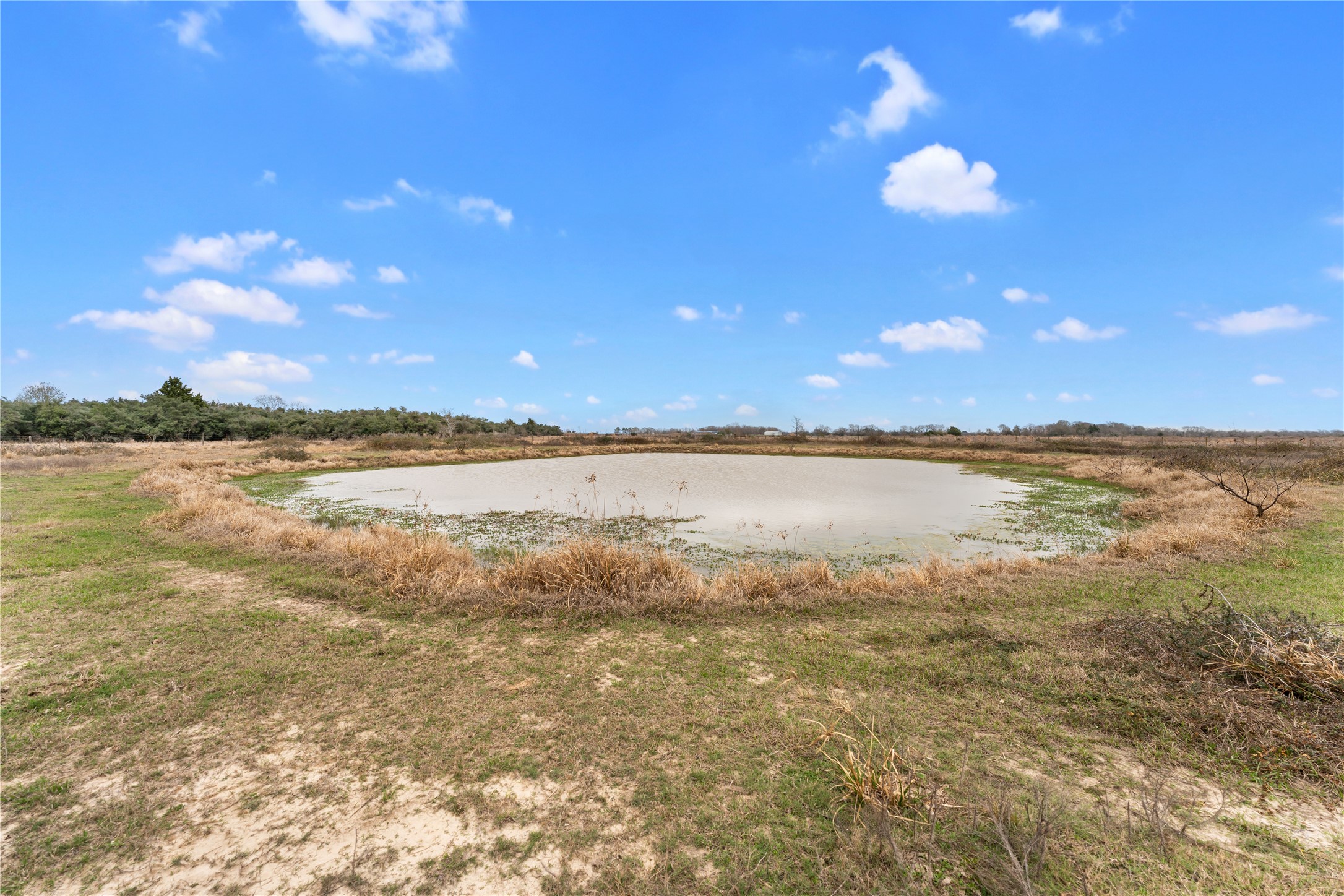 311 County Road 18 Damon, TX 77430 - Photo 36 of 39 a view of an ocean and beach