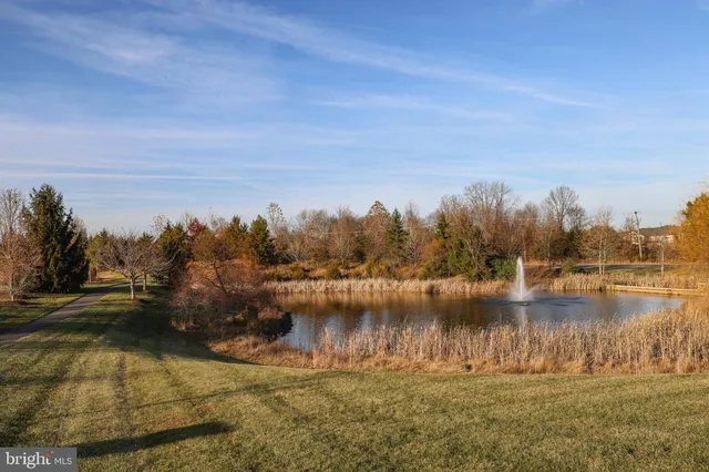 $1,375,000 | 24111 Audubon Trail Drive, Aldie, VA 20105