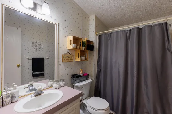 a bathroom with a sink a toilet and shower curtain