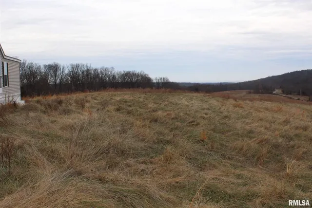 $1,300,000 | 0 Bruce Johnson Road, Herod, IL 62947