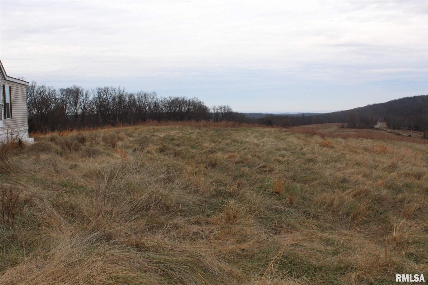 0 Bruce Johnson Road Herod, IL 62947 - Photo 12 of 12