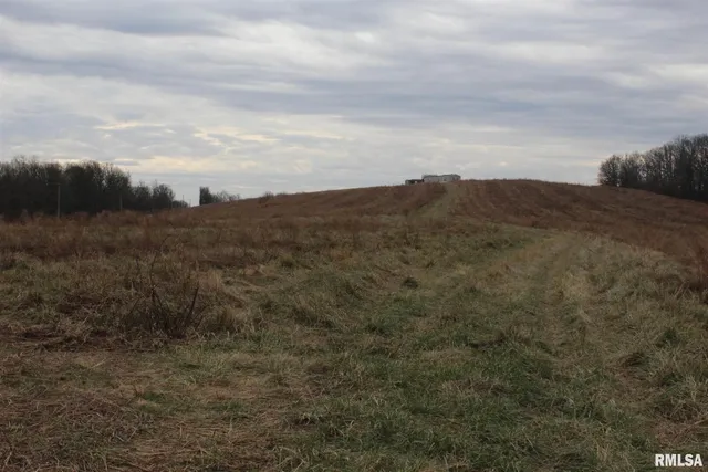 a view of a dry space with mountains in the background