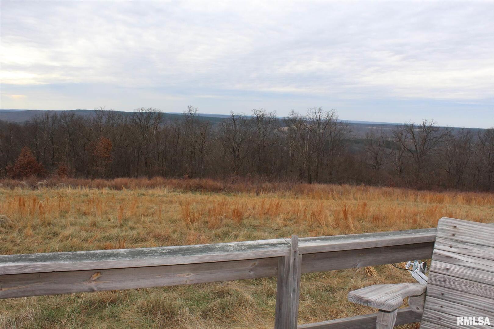 0 Bruce Johnson Road Herod, IL 62947 - Photo 3 of 12 a view of a backyard with a table and chairs