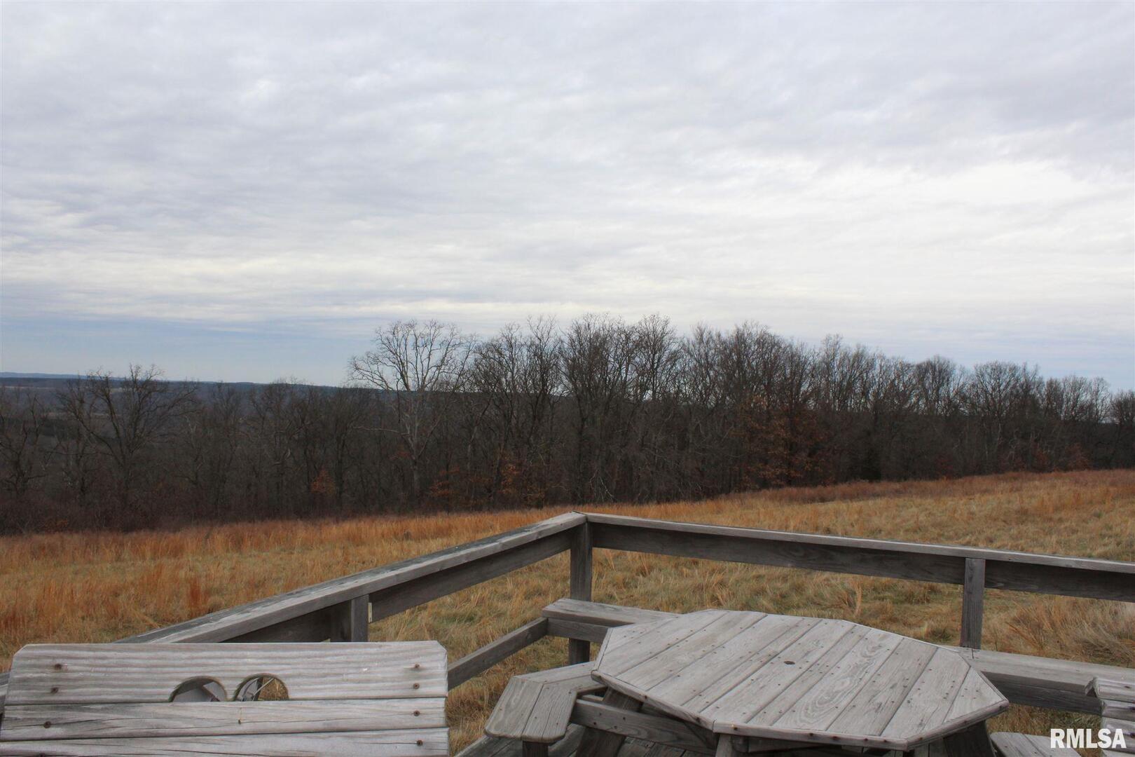0 Bruce Johnson Road Herod, IL 62947 - Photo 4 of 12 a view of sitting area in swimming pool