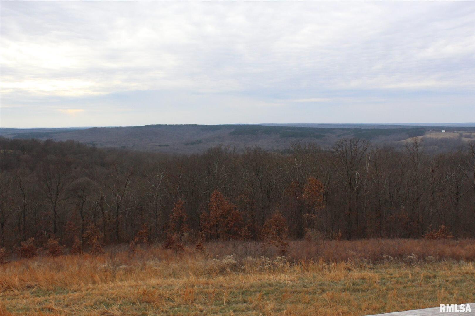 0 Bruce Johnson Road Herod, IL 62947 - Photo 5 of 12 a view of a yard