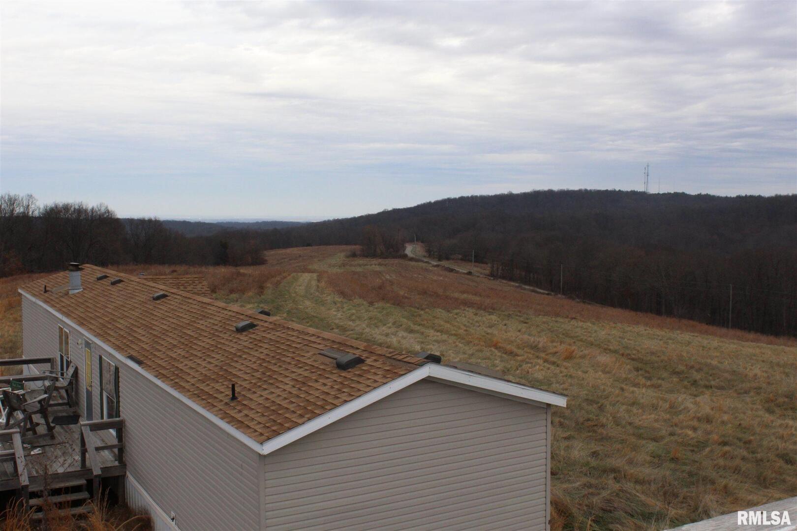 0 Bruce Johnson Road Herod, IL 62947 - Photo 8 of 12 a view of a terrace
