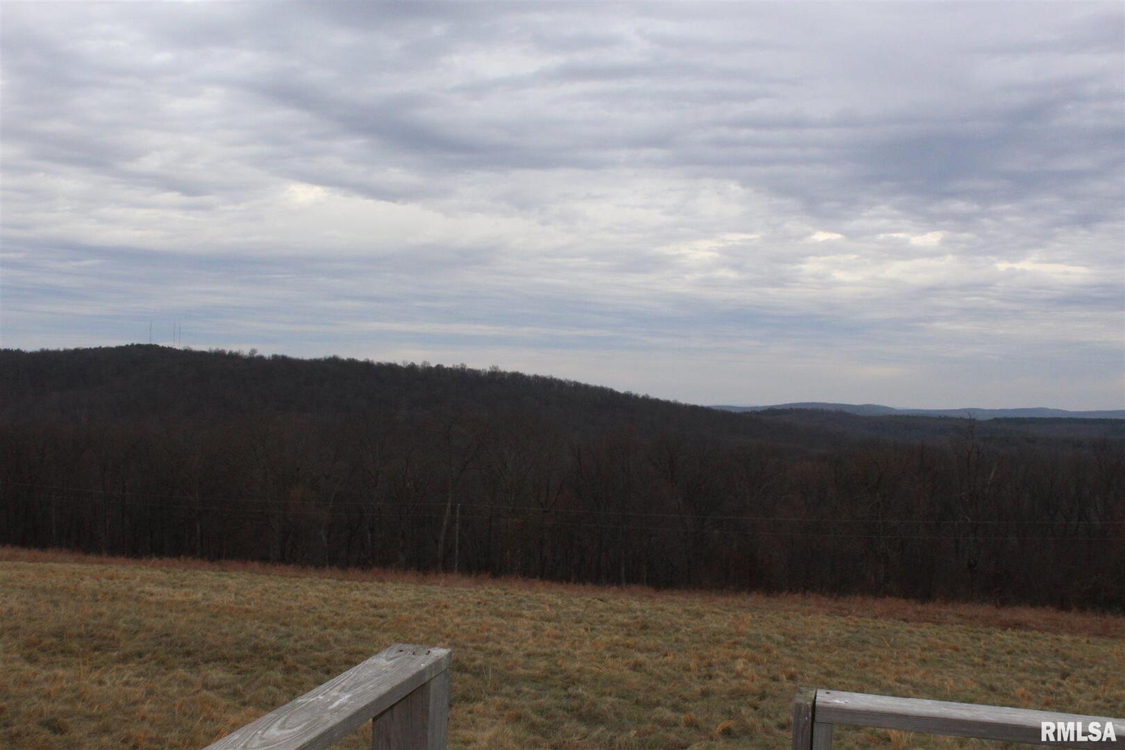 0 Bruce Johnson Road Herod, IL 62947 - Photo 9 of 12 a view of terrace with yard