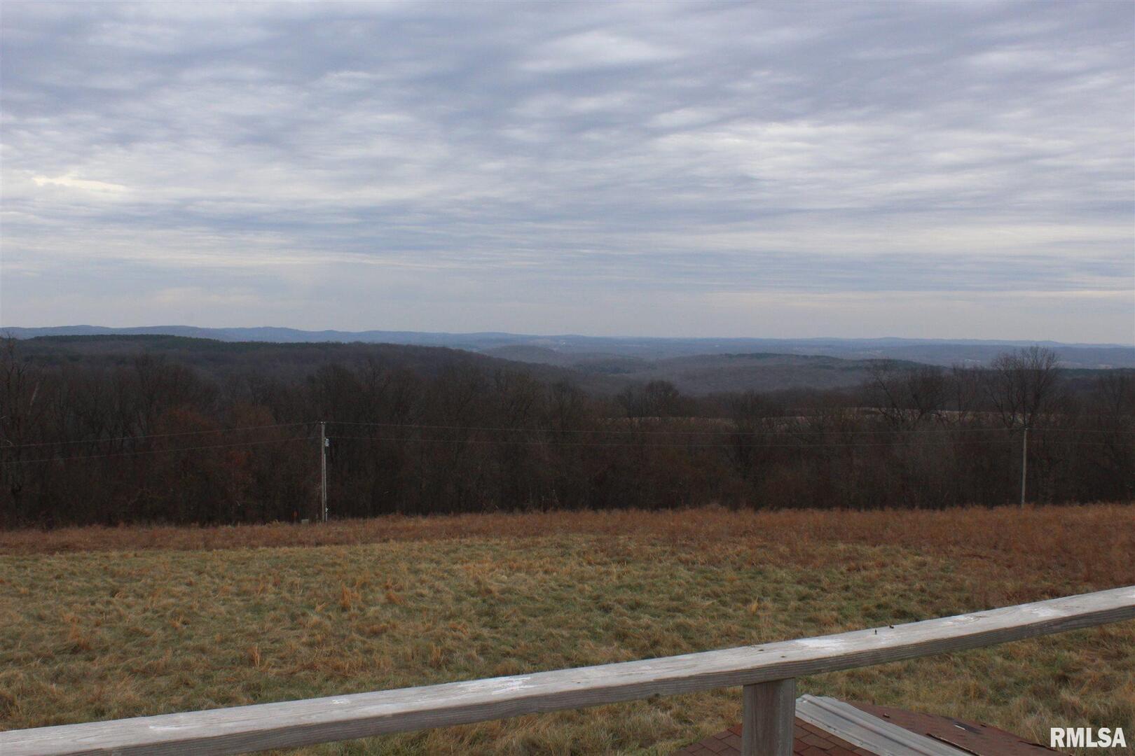 0 Bruce Johnson Road Herod, IL 62947 - Photo 10 of 12