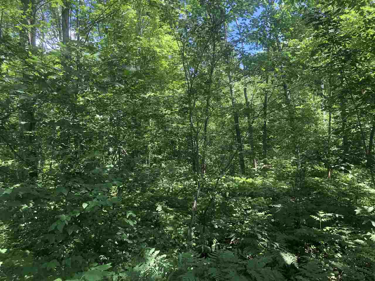 2553 Smith Road Beaverton, MI 48612 - Photo 46 of 53