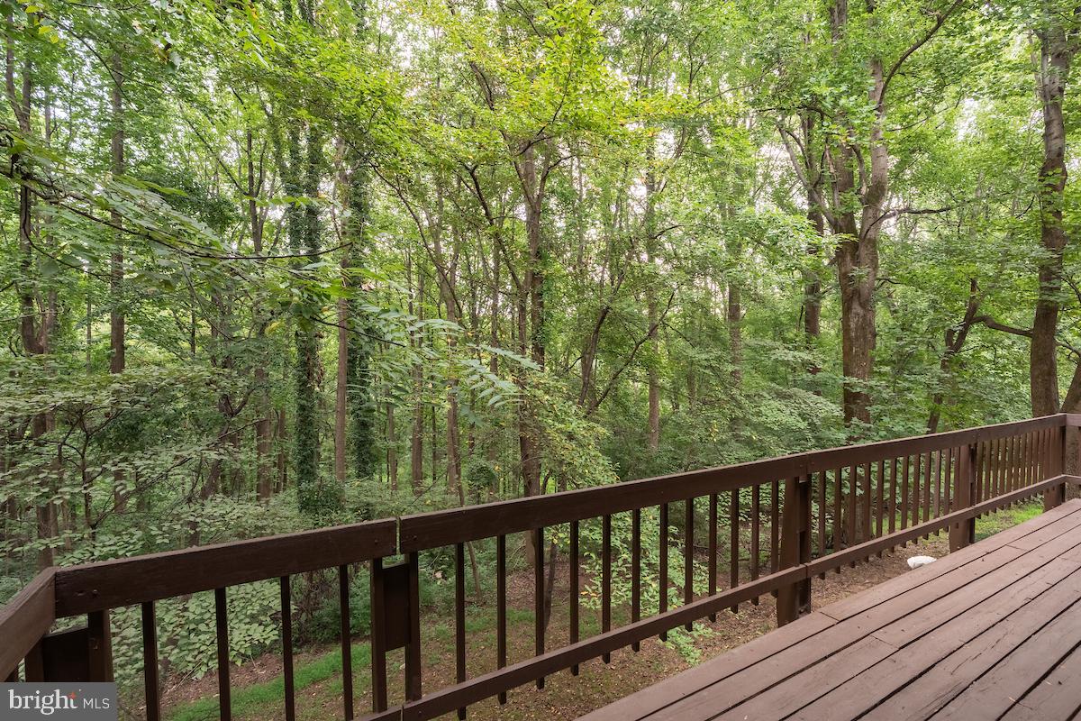 1330 Potomac School Road McLean, VA 22101 - Photo 6 of 36 Serene woodland retreat awaits you.