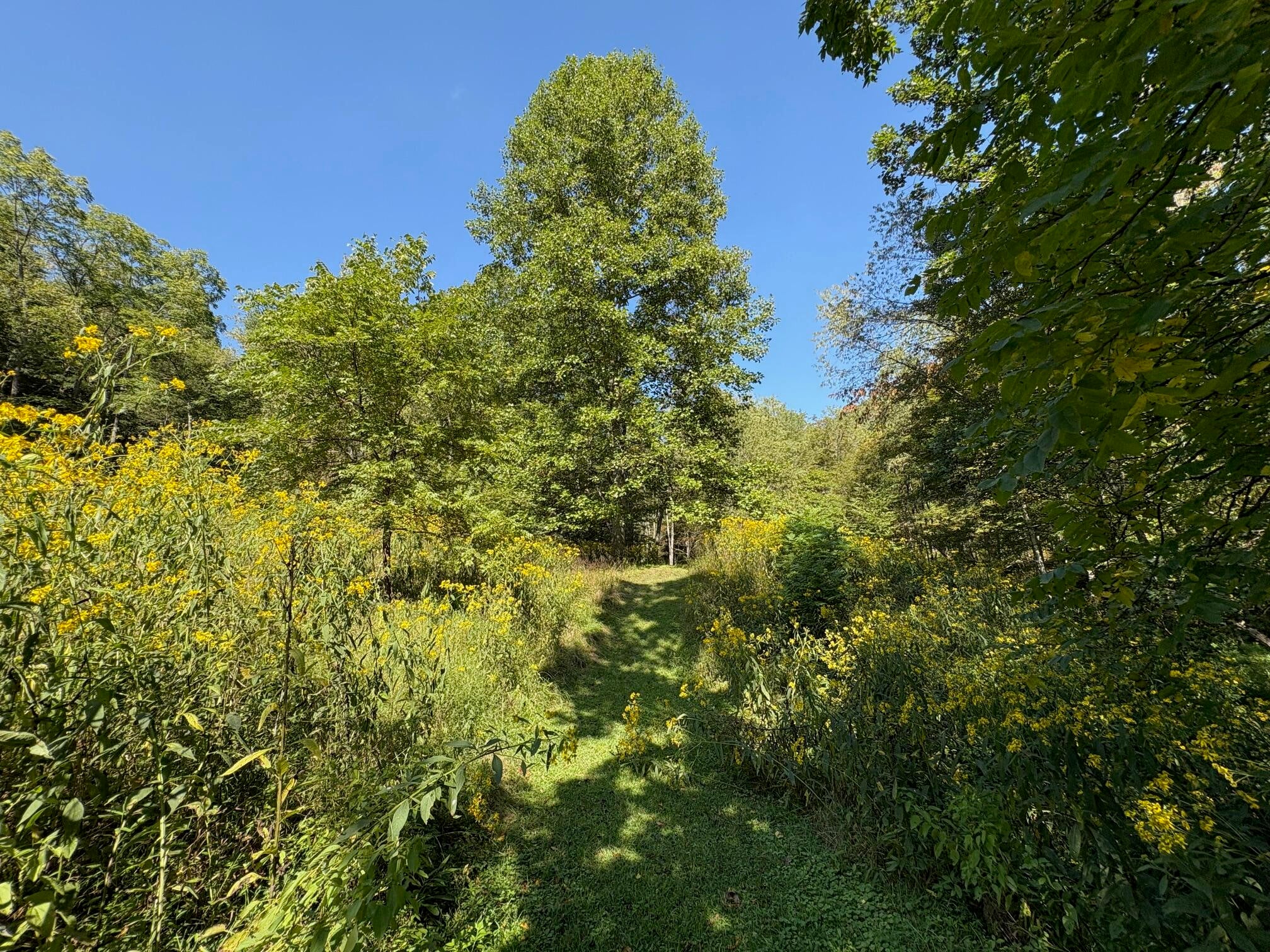 6652 Servia Road Duck, WV 25063 - Photo 62 of 69 Gallery Image 62