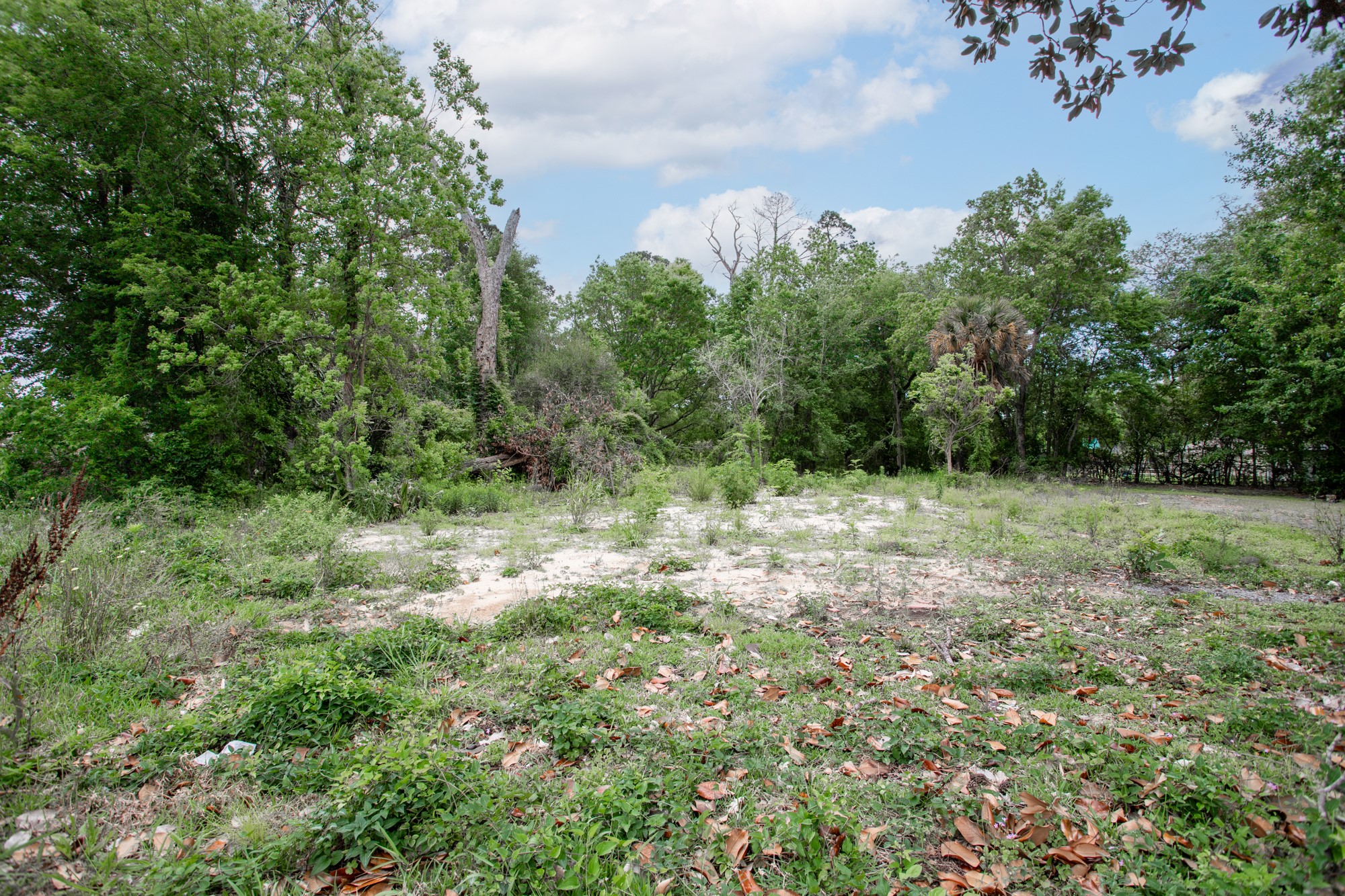 3665 Concord Road Beaumont, TX 77703 - Photo 10 of 13 Gallery Image 10