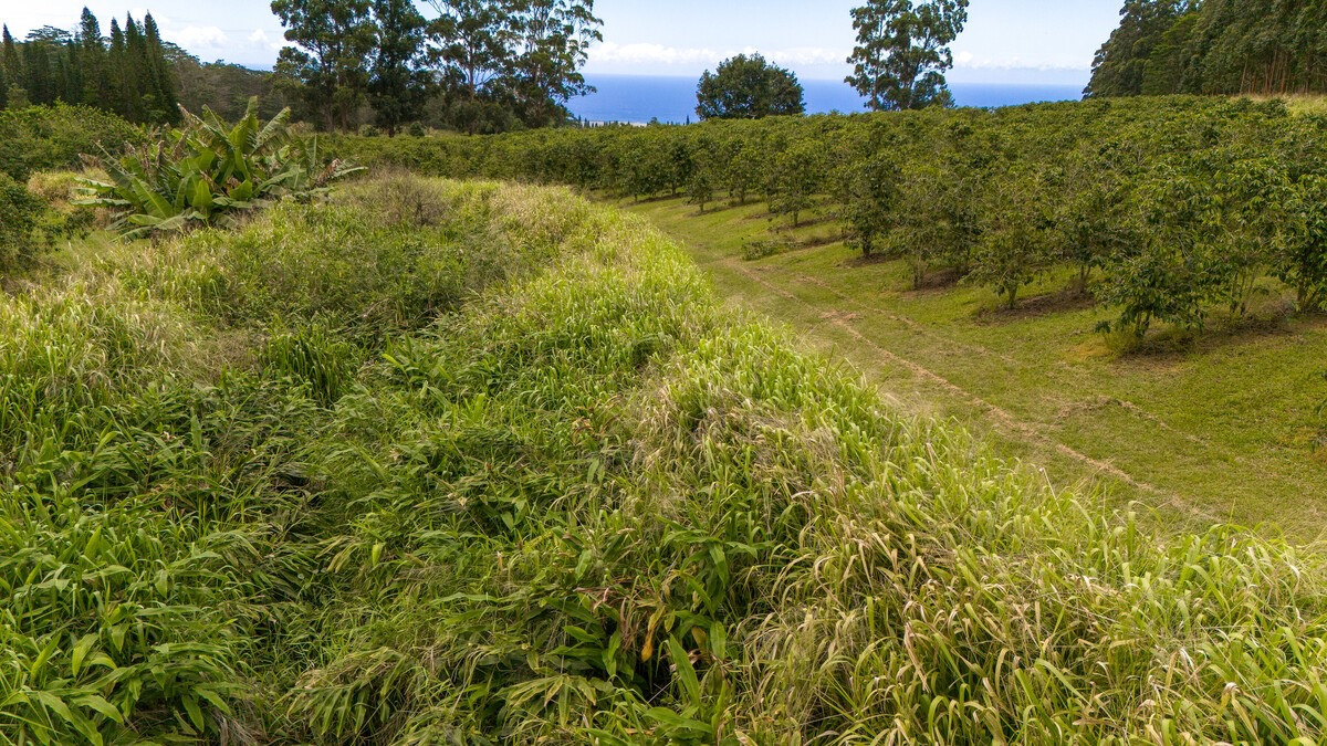 21 Kama'ile Road Pahala, HI 96777 - Photo 15 of 19 a view of lake view