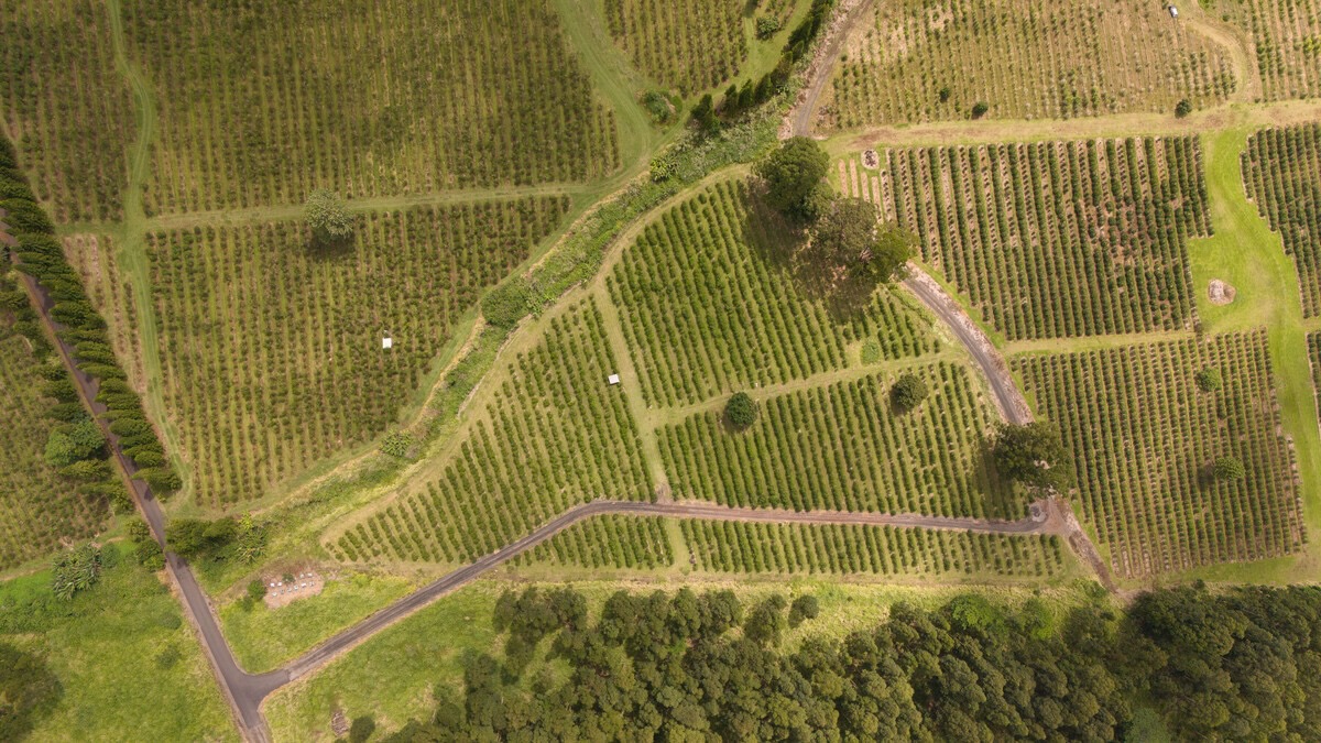 21 Kama'ile Road Pahala, HI 96777 - Photo 2 of 19 a view of a swimming pool