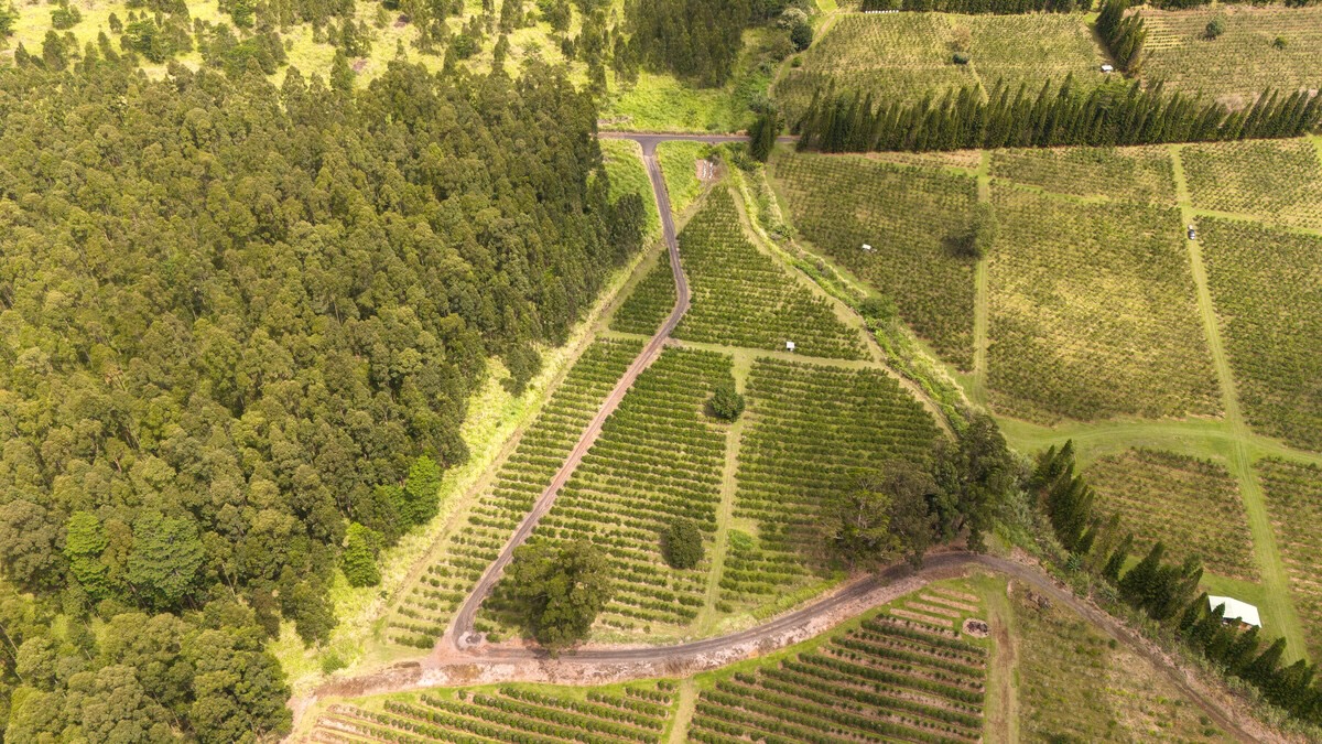 21 Kama'ile Road Pahala, HI 96777 - Photo 3 of 19 a bathroom with a shower