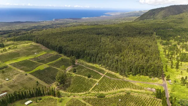 a view of an outdoor space and mountains