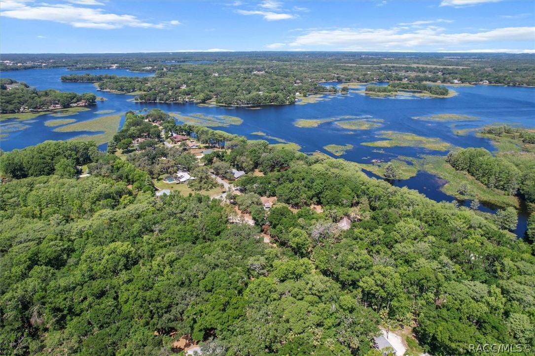 1255 South Estate Point Inverness, FL 34450 - Photo 61 of 84