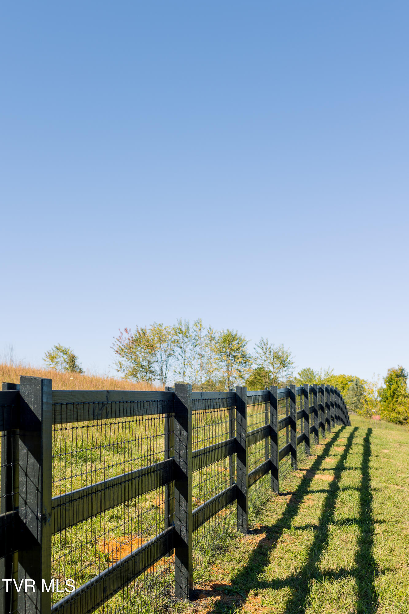 1075 Bovine Ranch Jonesborough, TN 37659 - Photo 54 of 60 20241010-8N8A1727