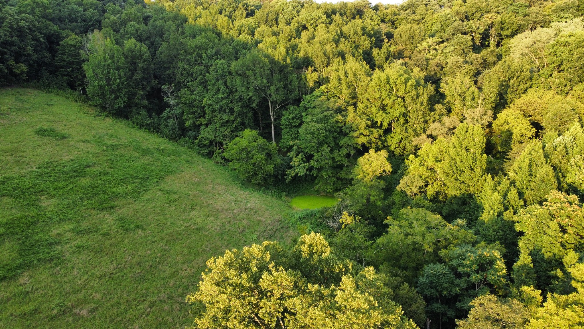 0 Club Springs Road Elmwood, TN 38560 - Photo 10 of 34 Gallery Image 10