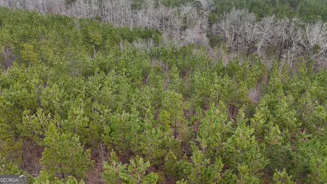 $1,232,280 | 1786 Andrews Road, Warrenton, GA 30828