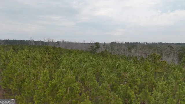 $1,232,280 | 1786 Andrews Road, Warrenton, GA 30828