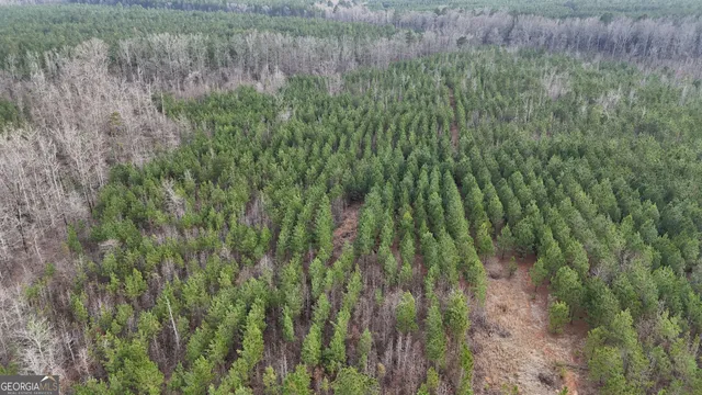 $1,232,280 | 1786 Andrews Road, Warrenton, GA 30828