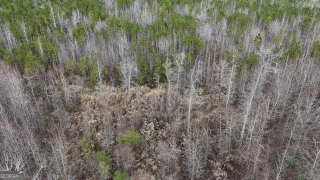 $1,232,280 | 1786 Andrews Road, Warrenton, GA 30828