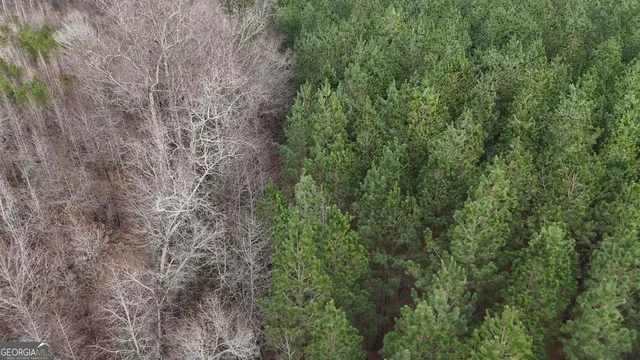 $1,232,280 | 1786 Andrews Road, Warrenton, GA 30828