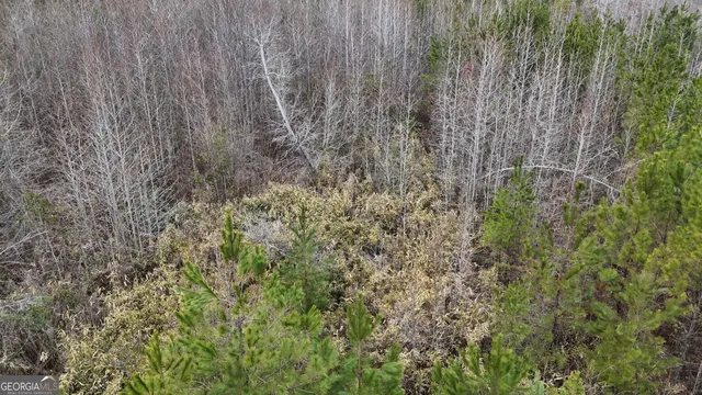 $1,232,280 | 1786 Andrews Road, Warrenton, GA 30828