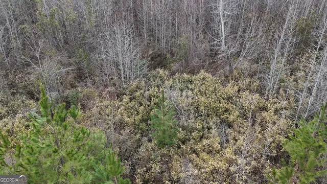 $1,232,280 | 1786 Andrews Road, Warrenton, GA 30828