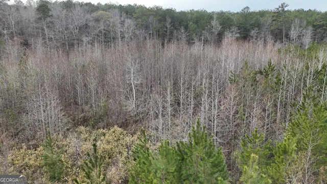 $1,232,280 | 1786 Andrews Road, Warrenton, GA 30828