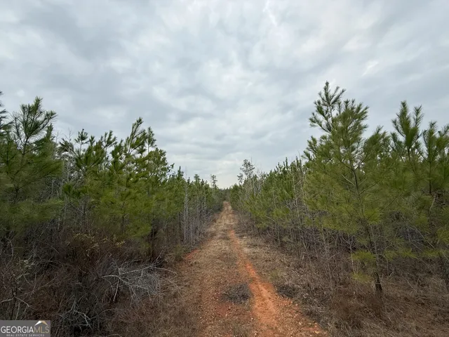 $1,232,280 | 1786 Andrews Road, Warrenton, GA 30828