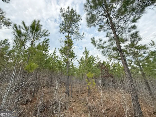 $1,232,280 | 1786 Andrews Road, Warrenton, GA 30828