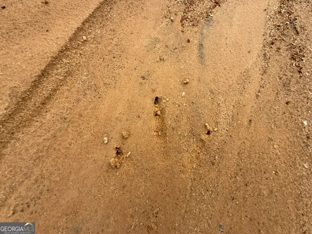 $1,232,280 | 1786 Andrews Road, Warrenton, GA 30828