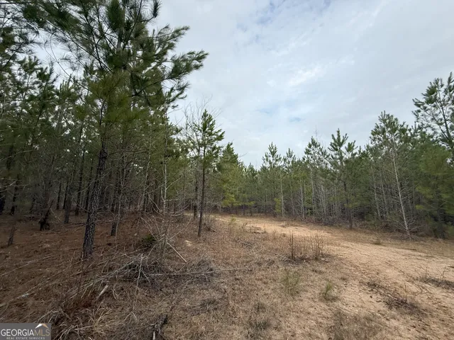 $1,232,280 | 1786 Andrews Road, Warrenton, GA 30828