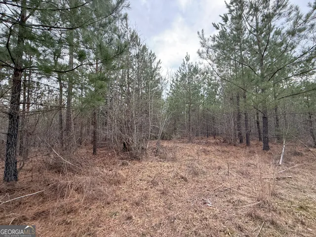 $1,232,280 | 1786 Andrews Road, Warrenton, GA 30828