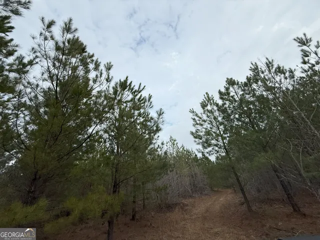 $1,232,280 | 1786 Andrews Road, Warrenton, GA 30828