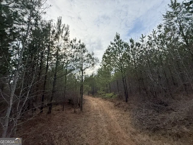 $1,232,280 | 1786 Andrews Road, Warrenton, GA 30828