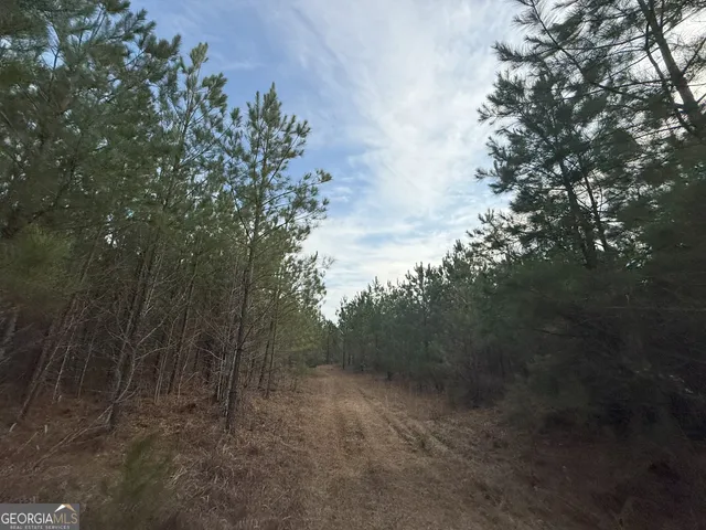 $1,232,280 | 1786 Andrews Road, Warrenton, GA 30828