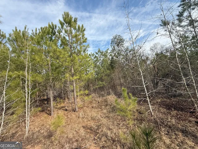 $1,232,280 | 1786 Andrews Road, Warrenton, GA 30828