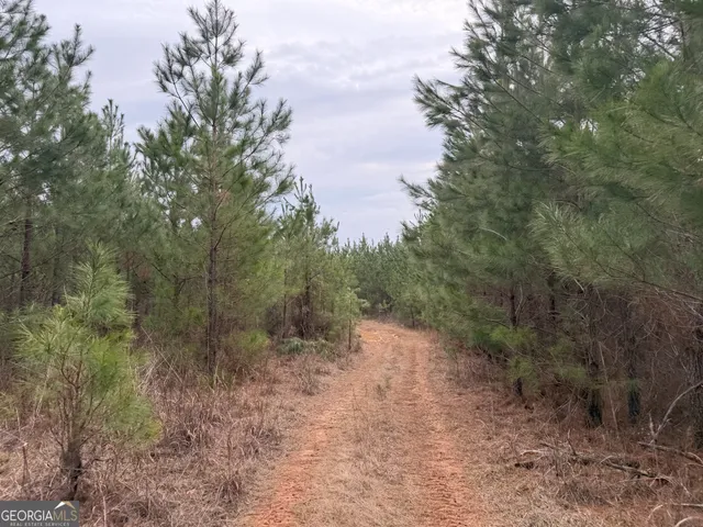 $1,232,280 | 1786 Andrews Road, Warrenton, GA 30828