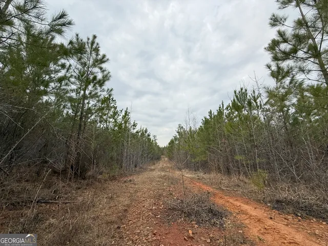 $1,232,280 | 1786 Andrews Road, Warrenton, GA 30828