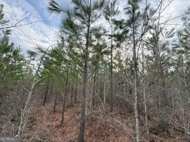 $1,232,280 | 1786 Andrews Road, Warrenton, GA 30828