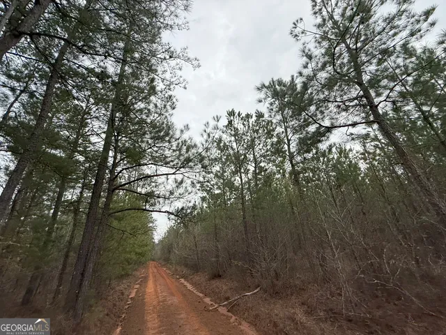 $1,232,280 | 1786 Andrews Road, Warrenton, GA 30828