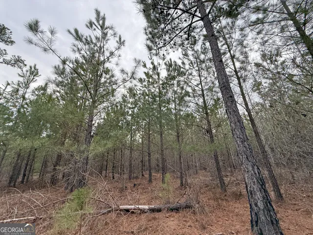 $1,232,280 | 1786 Andrews Road, Warrenton, GA 30828